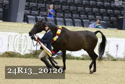 24R13_20120 thumbnail