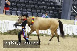 24R13_20122 thumbnail