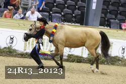 24R13_20123 thumbnail