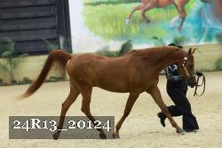 24R13_20124 thumbnail