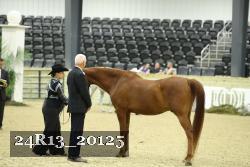24R13_20125 thumbnail