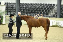 24R13_20126 thumbnail