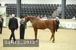 24R13_20127 thumbnail