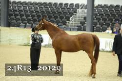 24R13_20129 thumbnail