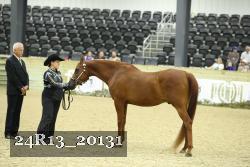 24R13_20131 thumbnail