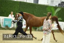 24R13_20133 thumbnail