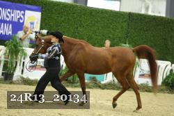24R13_20134 thumbnail