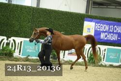 24R13_20136 thumbnail