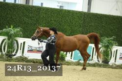 24R13_20137 thumbnail