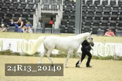 24R13_20140 thumbnail