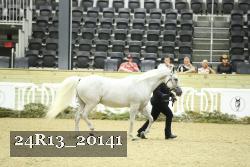 24R13_20141 thumbnail