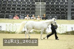 24R13_20142 thumbnail