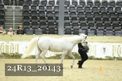 24R13_20143 thumbnail