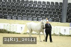 24R13_20144 thumbnail
