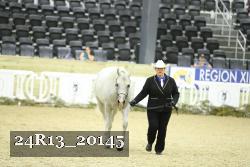 24R13_20145 thumbnail