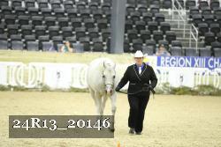 24R13_20146 thumbnail
