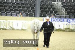 24R13_20147 thumbnail