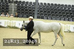 24R13_20148 thumbnail