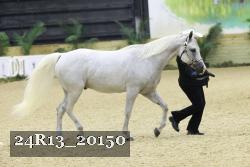 24R13_20150 thumbnail