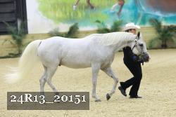 24R13_20151 thumbnail
