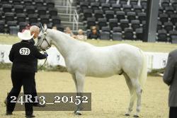 24R13_20152 thumbnail