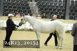 24R13_20154 thumbnail