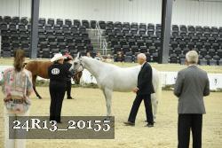 24R13_20155 thumbnail
