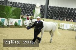 24R13_20157 thumbnail