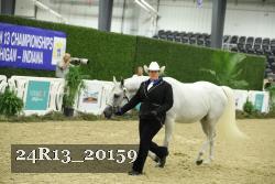 24R13_20159 thumbnail