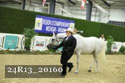 24R13_20160 thumbnail