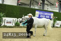 24R13_20161 thumbnail