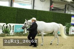 24R13_20162 thumbnail