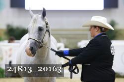 24R13_20163 thumbnail