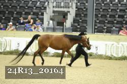 24R13_20164 thumbnail