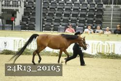 24R13_20165 thumbnail