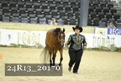 24R13_20170 thumbnail