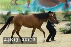 24R13_20178 thumbnail