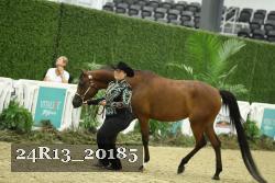 24R13_20185 thumbnail