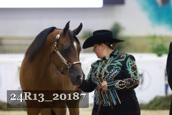 24R13_20187 thumbnail