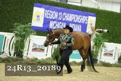 24R13_20189 thumbnail