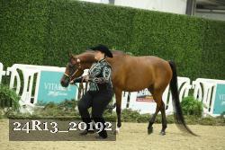 24R13_20192 thumbnail