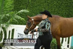 24R13_20193 thumbnail