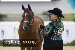 24R13_20197 thumbnail