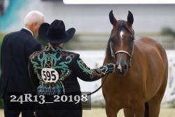 24R13_20198 thumbnail
