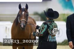 24R13_20200 thumbnail
