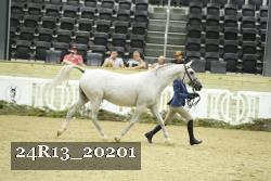 24R13_20201 thumbnail