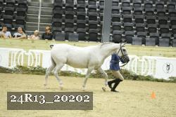 24R13_20202 thumbnail