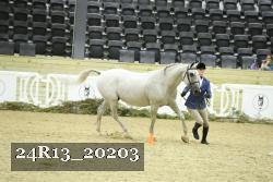 24R13_20203 thumbnail