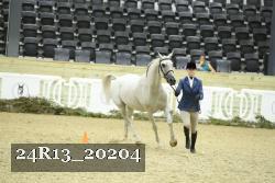 24R13_20204 thumbnail