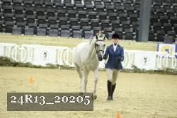 24R13_20205 thumbnail